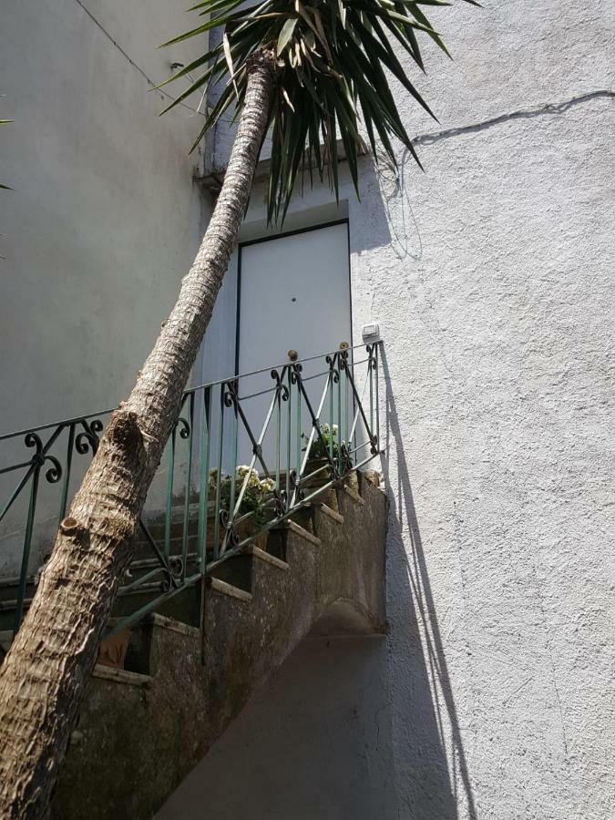 My Home Sorrento Eksteriør bilde